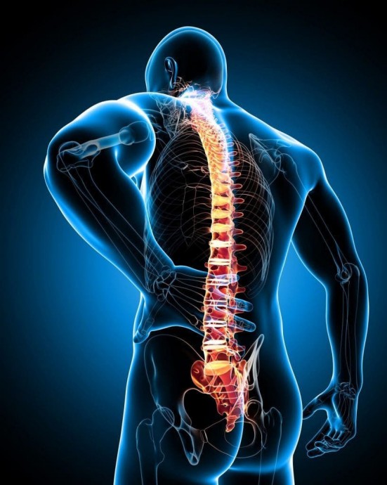 Названы простые способы избавиться от боли в спине