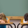 76% учащихся школ не сообщают родителям о стрессе