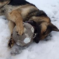 Віктор Воят Віктор Воят