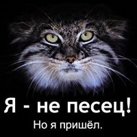 Андрей Кияев Андрей Кияев