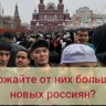 Директор ВЦИОМ Федоров предлагает "подложить россиянок под иммигрантов" ради роста демографии