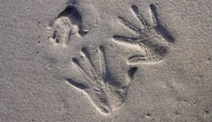 У людей нашли скрытое «седьмое чувство» дистанционного осязания