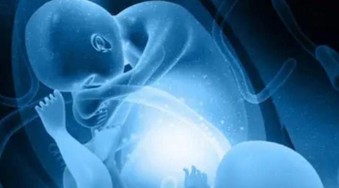 Редчайший случай - египтянка забеременела сразу девятью детьми Редчайший случай - египтянка забеременела сразу девятью детьми