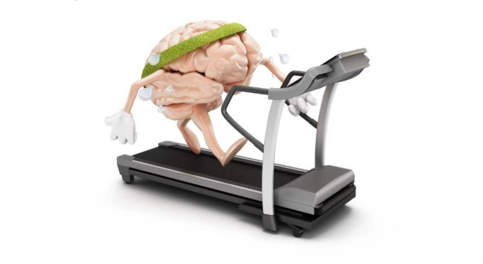 Упражнения для мозга могут обратить вспять возрастные изменения в мозге Упражнения для мозга могут обратить вспять возрастные изменения в мозге