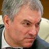 Нужен ли Володин Думе?