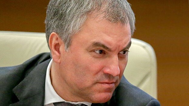 Нужен ли Володин Думе?