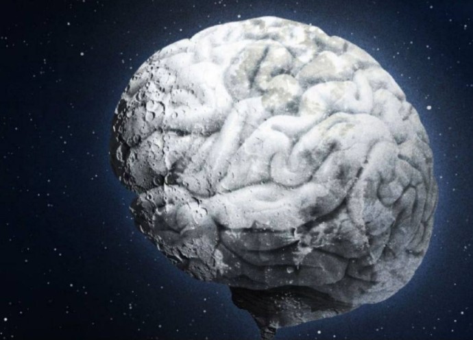 Психологи определили размер «максимального круга общения» - полторы сотни человек Психологи определили размер «максимального круга общения» - полторы сотни человек