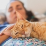 6 научно доказанных способов укрепить связь с вашим котом