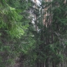 Луговая