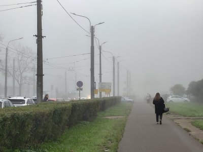 IMG 20261001 11...