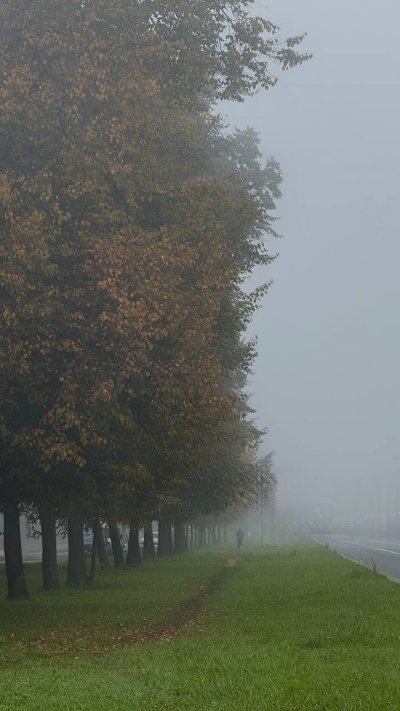 IMG 20261001 11...