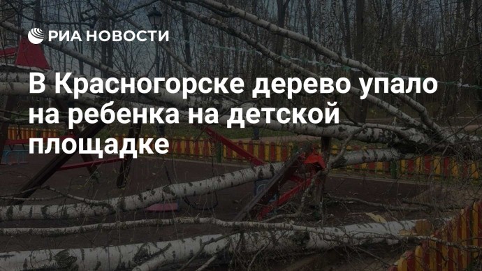 В Красногорске дерево упало на ребенка на детской площадке